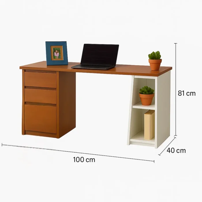 Single desk 1